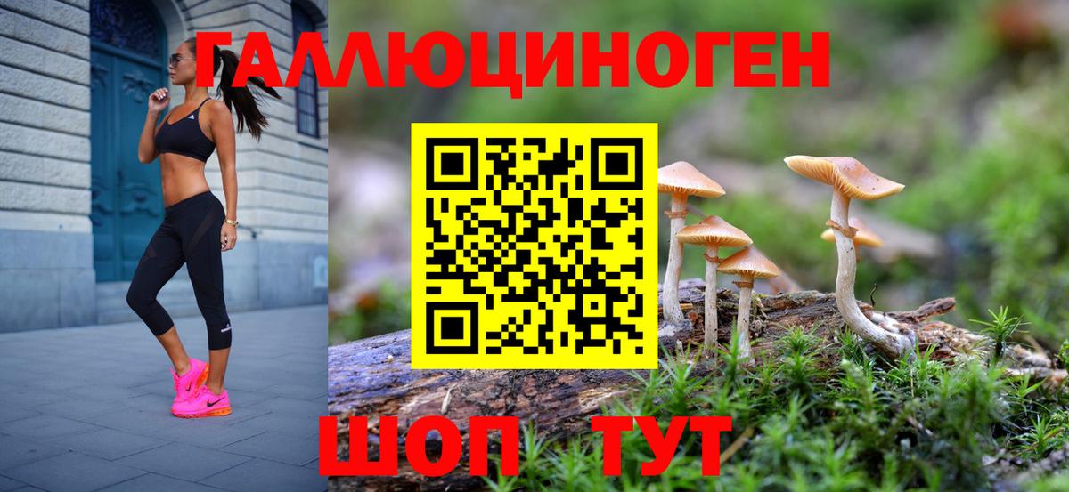 Галлюциногенные грибы Cubensis  Вход с VPN  Октябрьский 