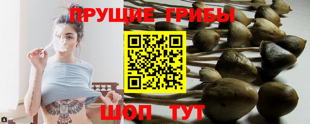 Галлюциногенные грибы MAGIC MUSHROOMS Октябрьский
